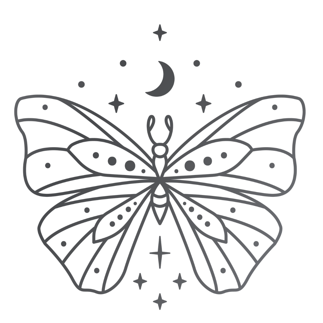 Une illustration d'un papillon de nuit